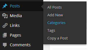Adding a new Category in WordPress